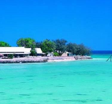 Voyage sur-mesure, Heron Island